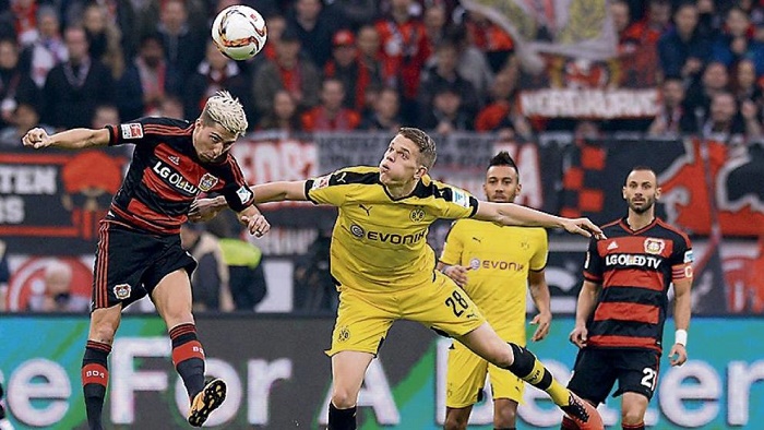 内部年轻臂 内部年轻臂